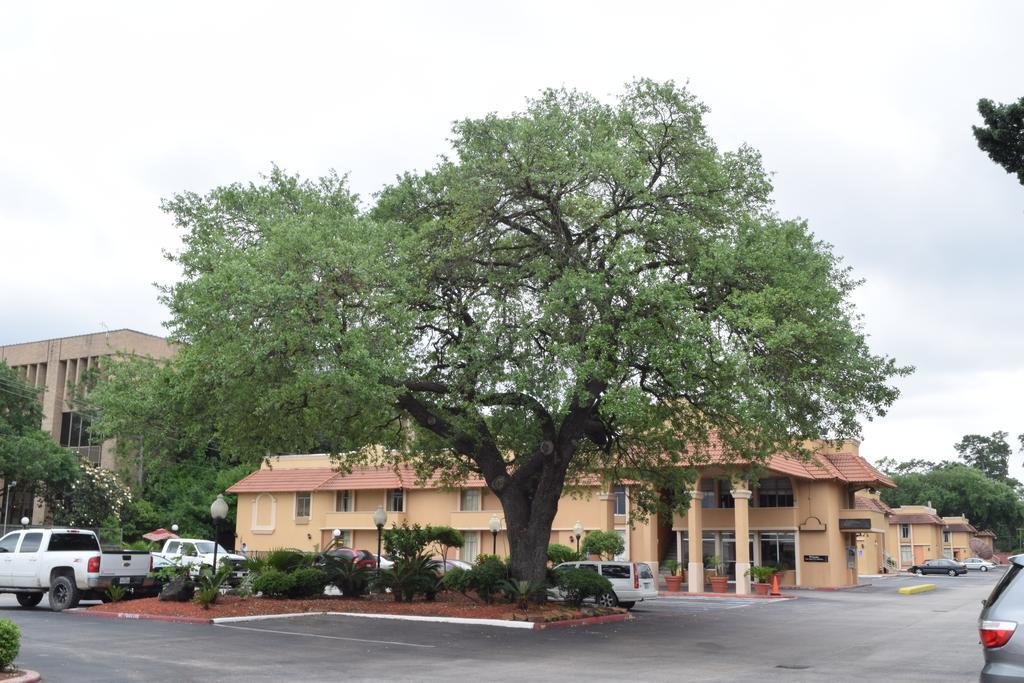 יוסטון Memorial Inn And Suites מראה חיצוני תמונה